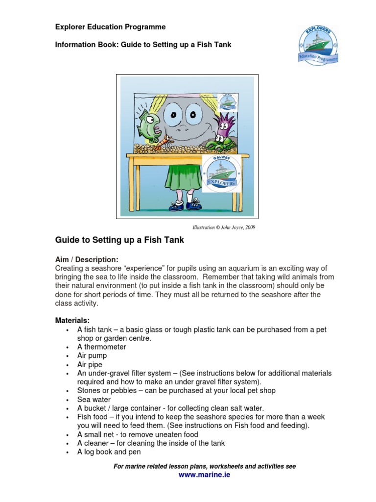 Guide To Setting Up A Fishtank | PDF