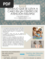 4. Investigación CAM