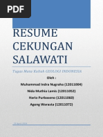 Download Resume Cekungan Salawati by Hario Purbaseno SN239526879 doc pdf
