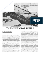 The Meaning of Shells: RED Riggs C