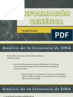 Informacion Genetica
