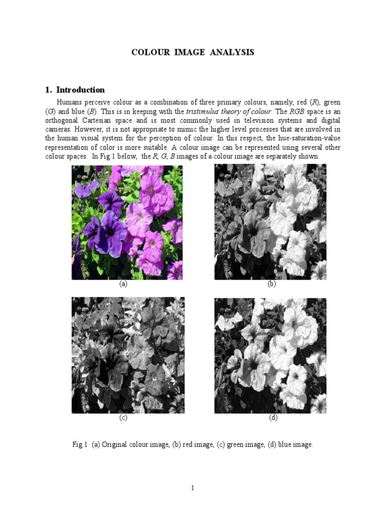 Colour Image Analysis Techniques | PDF | Color | Cluster Analysis
