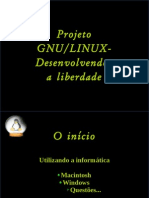 GNU Linux Desenvolvendo A Liberdade