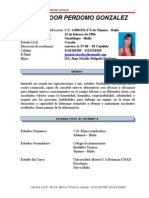 Perfil laboral Argelaloor Perdomo