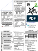 Triptico 2013 PDF