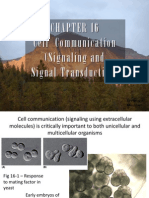 Cell Communication (Signaling and Signal T Ransduction) : Fire On The Mountain