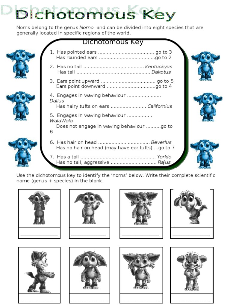 Dichotomous Key | PDF | Business
