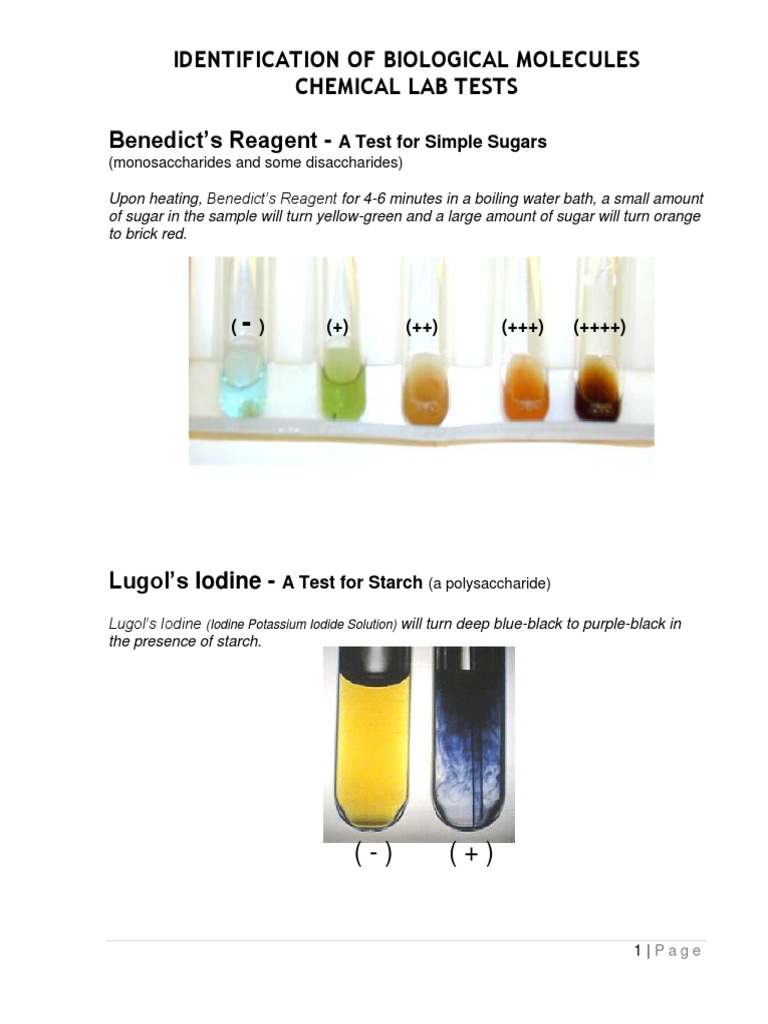 Identification of Biomolecules LAB TEST RESULTS