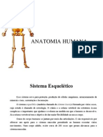 Anatomia Humana - Incompleto