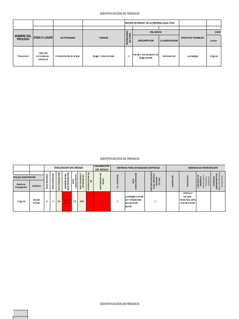 Matriz de Riesgos GTC 45 en ISSAL LTDA | PDF | Salud y bienestar | Medicina