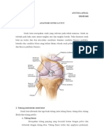 Anatomi Sendi Lutut