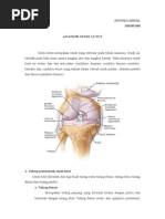 Anatomi Sendi Lutut Pdf