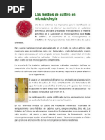 Los Medios de Cultivo