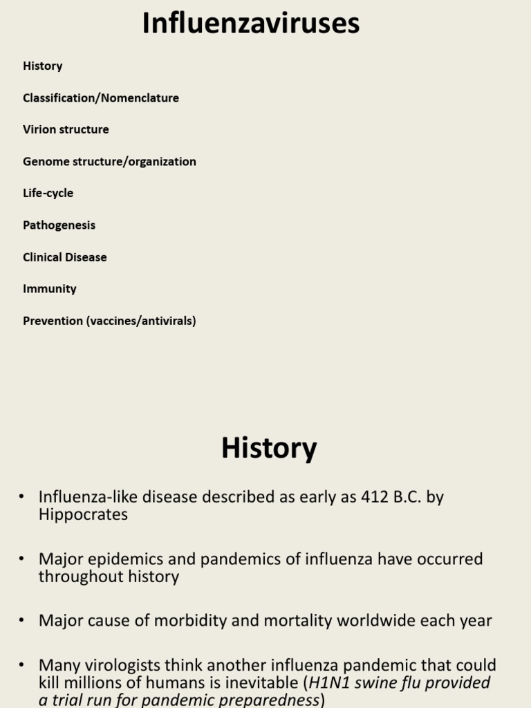 Lecture 11 Influenzavirus | PDF | Influenza A Virus Subtype H5 N1 ...