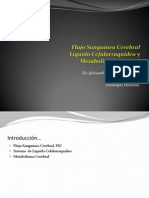 Flujosanguneocerebrallcrymetabolismocerebraldr 140503235521 Phpapp02 (1)