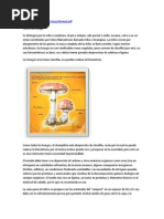 94120911-champinon.pdf