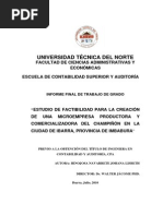 235879338-02-Ica-083-Tesis.pdf