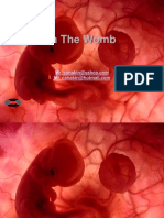 In The Womb: Um Feto de Poucas Semanas Encontra-Se No Interior Do Útero de Sua Mãe