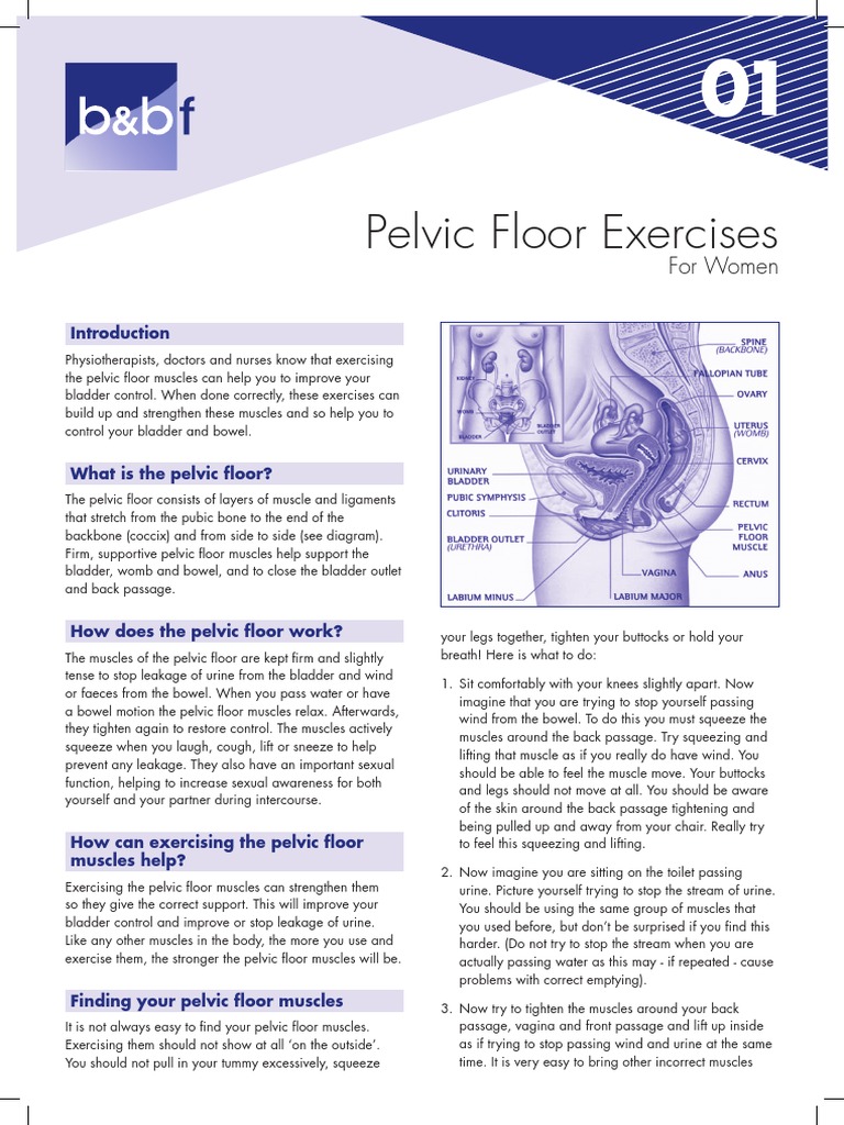 Pelvic Floor Exercises Urinary Incontinence Pelvis