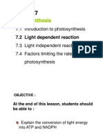 7.2 Light Dependent Reaction