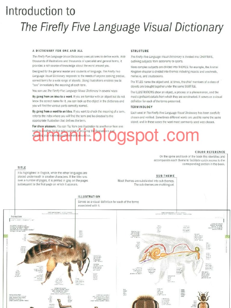 The Firefly Five Language Visual Dictionary