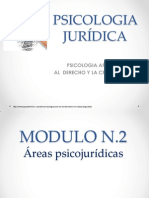 2. Areas Psicojuridicas