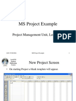 LSU MS Project Example Guide