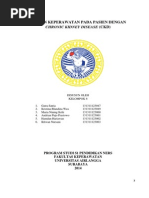 Download Makalah Ckd by Miftachul Jannah SN239633422 doc pdf