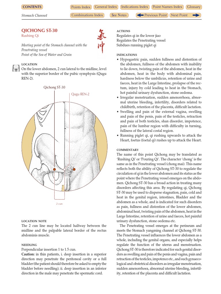 ST30 Acupuncture Point Overview | PDF