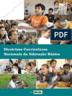 Diretrizes Curiculares Nacionais 2013(1)
