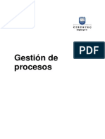 Manual 2014-II 03 Gestión de Procesos (0490) PDF