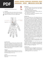 FMS Scoring Criteria, Score Sheet & Verbal Instructions | PDF ...