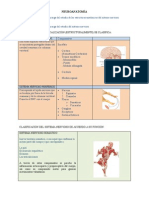 7. Neuroanatomía