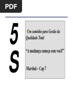 AULA 2 - 5S