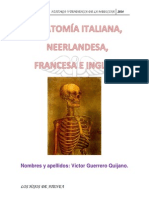 Anatomía Italiana, Neerlandesa, Francesa e Inglesa