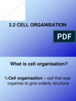 2.2 Cell Organisation