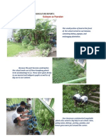 Supporting Pictures For Agriculture Reports