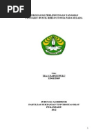 Download Busuk Rhizoctonia Pada Tanaman Selada by Tia Sofiani Napitupulu SN239683830 doc pdf