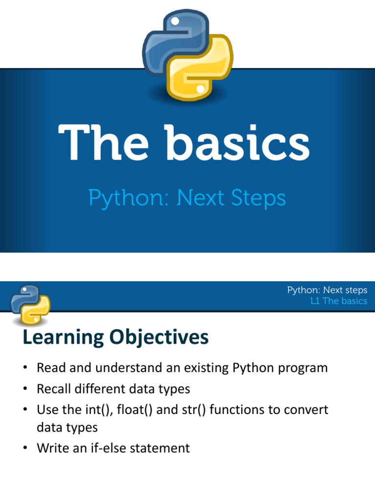 Python Next Steps l1 The Basics | PDF | Data Type | Python (Programming ...