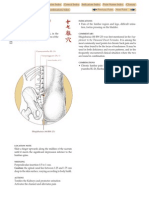 Shiqizhuixia (M-BW - 25) : Below The Seventeenth Vertebra