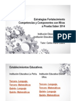 Estrategias Fortalecimiento Competencias y Componentes Con Miras a Prueba Saber 2014