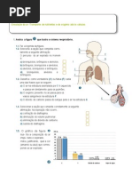 Circulação Do Ar 6ºano
