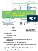 Tema1 Concep Basicos Ampl