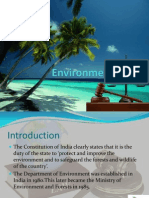 environmentallaws-120329210534-phpapp02