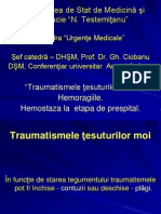 Hemoragii Hemostaza