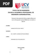 Download Proyecto Exportacion de Quinua by Eduardo Kamus SN239725298 doc pdf