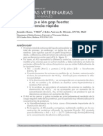 Anión gap e ión gap fuerte: una referencia rápida para el diagnóstico de acidosis metabólica