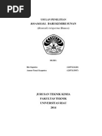 Download USULAN PENELITIAN kemiri sunandocx by fauziputra SN239743056 doc pdf