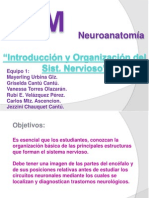1 Introducción y Organización Del Sistema Nervioso (Equipo 1)