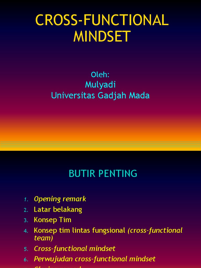 Mindset Lintas Fungsional dalam Organisasi | PDF